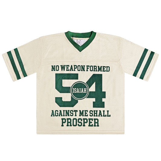 The Covering: Isaiah 54 Edition